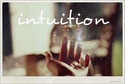 intuitionmainsluz2